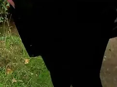 Derleme, gizli çekim gerçek porno